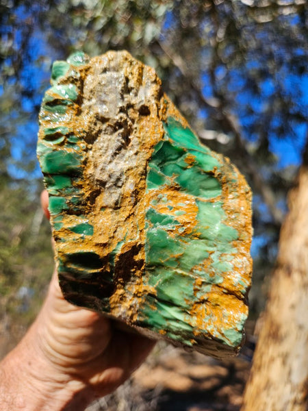 Variscite rough. VR615