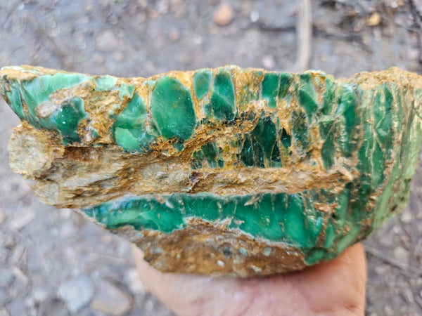 Variscite rough. VR615