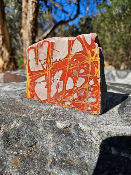 Polished Noreena Jasper. NJ486