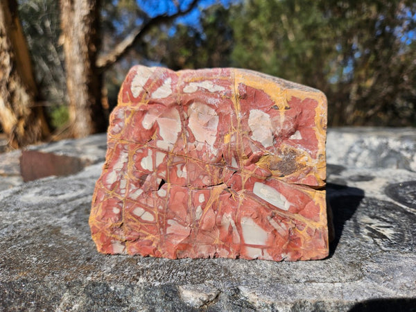 Polished Noreena Jasper. NJ486