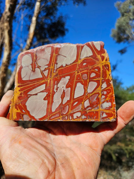 Polished Noreena Jasper. NJ486