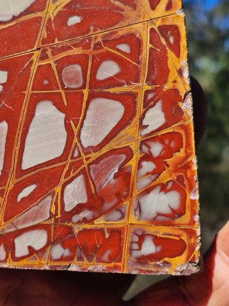 Polished Noreena Jasper. NJ486