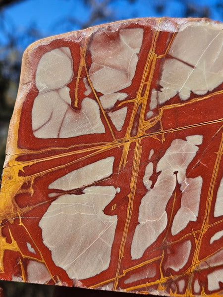 Polished Noreena Jasper. NJ486