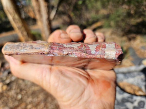 Polished Noreena Jasper. NJ486