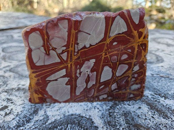 Polished Noreena Jasper. NJ486