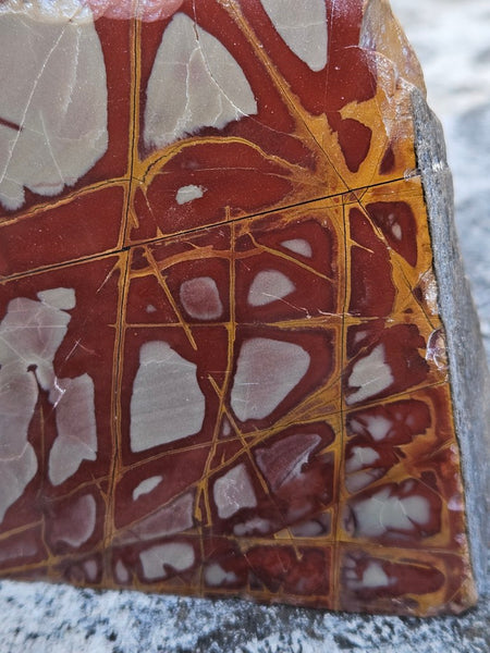 Polished Noreena Jasper. NJ486