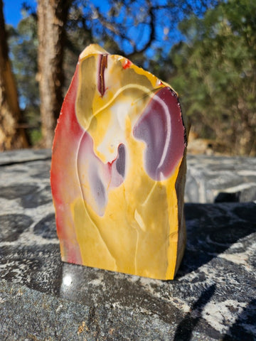 Polished Mookaite  MK552