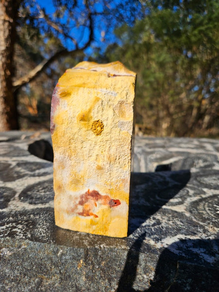 Polished Mookaite  MK552