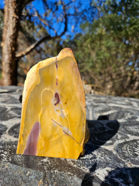 Polished Mookaite  MK552