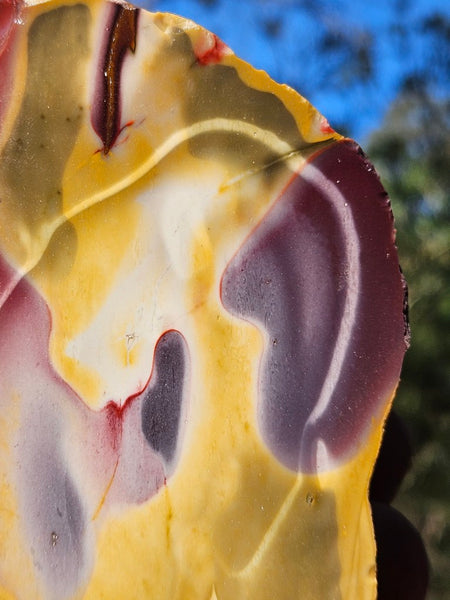 Polished Mookaite  MK552