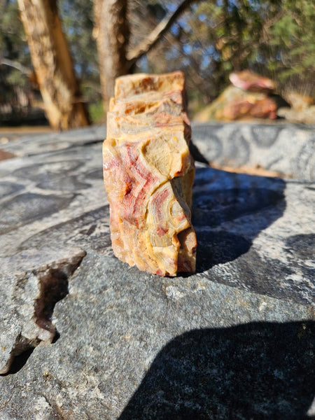 Polished Crazy Lace Agate CLA270