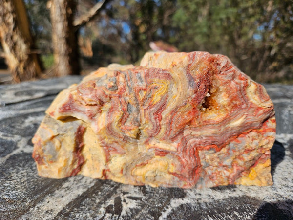 Polished Crazy Lace Agate CLA270