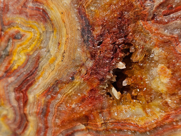 Polished Crazy Lace Agate CLA270