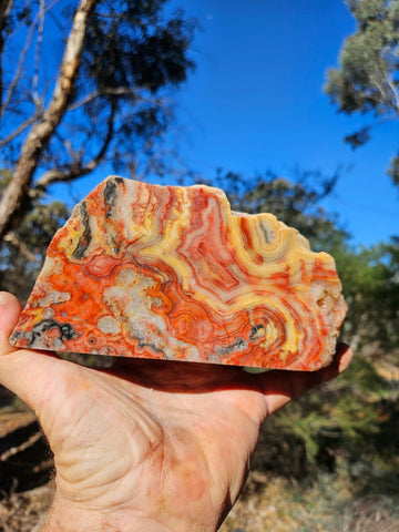 Polished Crazy Lace Agate CLA270
