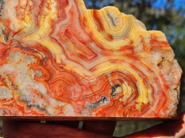 Polished Crazy Lace Agate CLA270