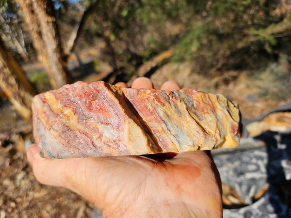 Polished Crazy Lace Agate CLA270