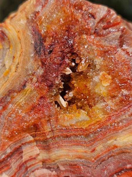 Polished Crazy Lace Agate CLA270