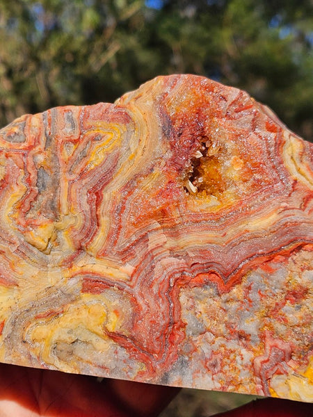 Polished Crazy Lace Agate CLA270