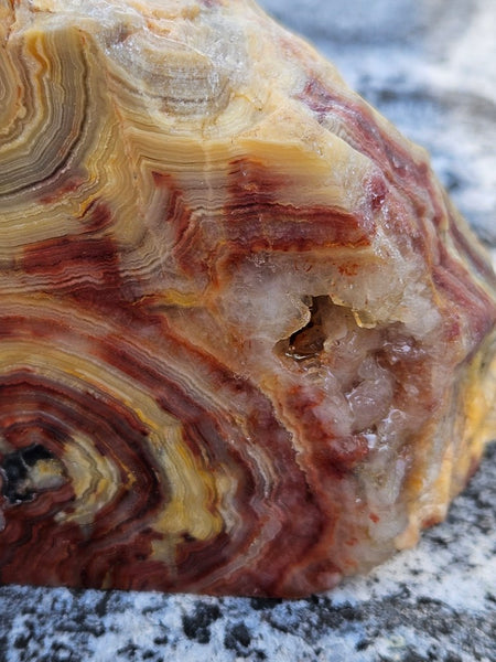Polished Crazy Lace Agate CLA270