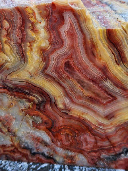 Polished Crazy Lace Agate CLA270