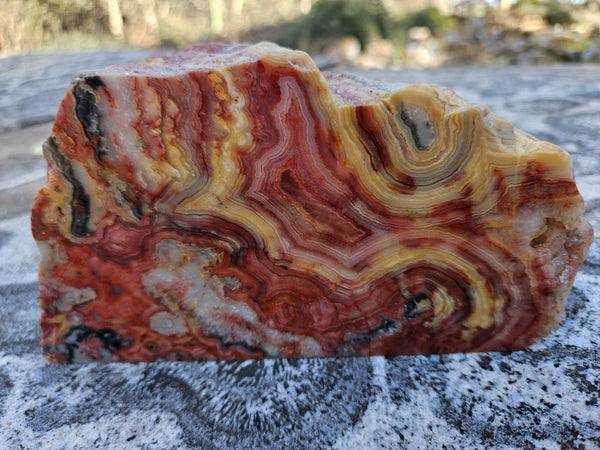 Polished Crazy Lace Agate CLA270