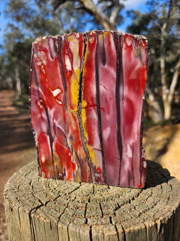 Polished Mookaite  MK553