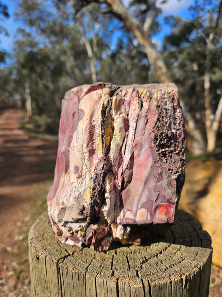 Polished Mookaite  MK553