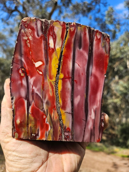 Polished Mookaite  MK553