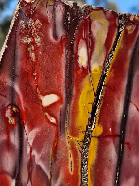 Polished Mookaite  MK553