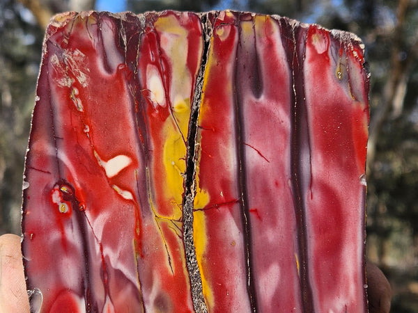 Polished Mookaite  MK553