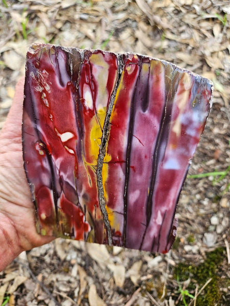 Polished Mookaite  MK553