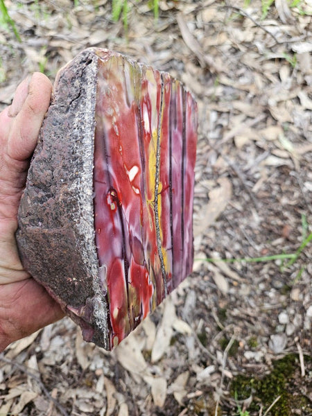 Polished Mookaite  MK553