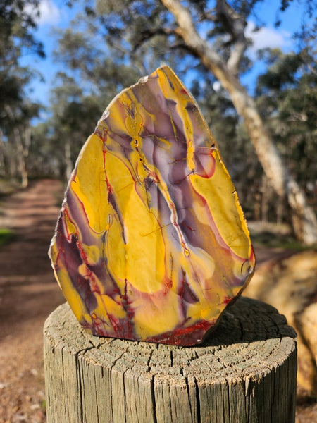 Polished Mookaite  MK554