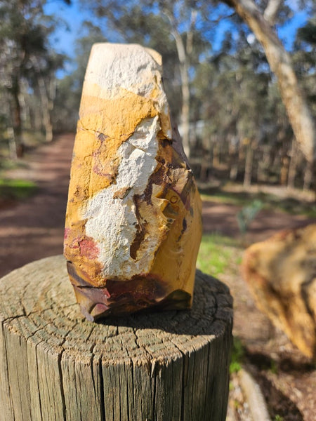 Polished Mookaite  MK554