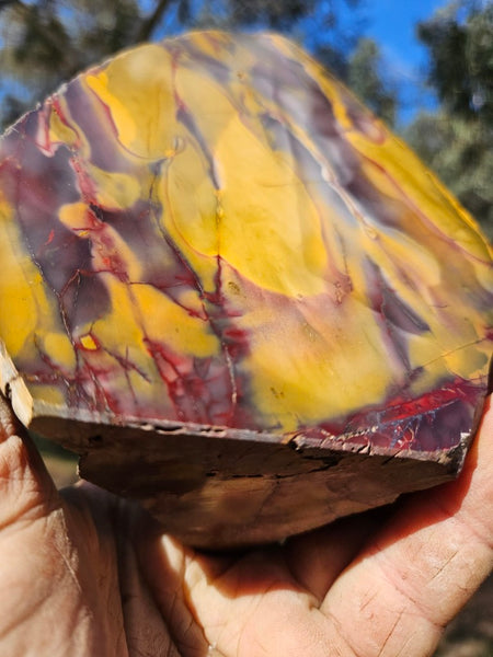 Polished Mookaite  MK554