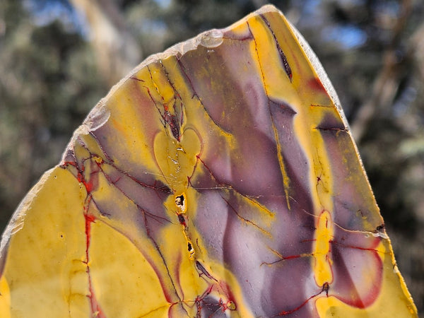 Polished Mookaite  MK554