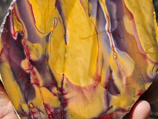 Polished Mookaite  MK554