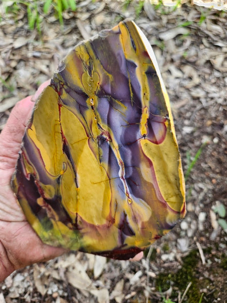 Polished Mookaite  MK554
