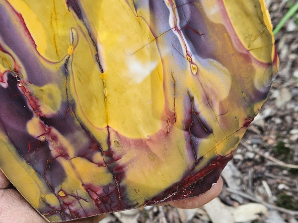 Polished Mookaite  MK554