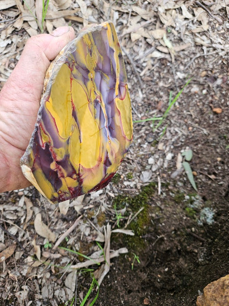 Polished Mookaite  MK554