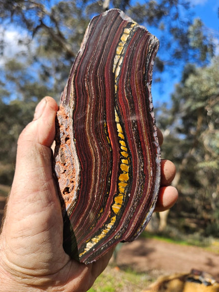 Polished Tiger Iron  TI381