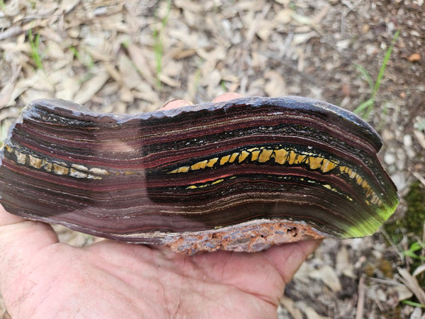 Polished Tiger Iron  TI381