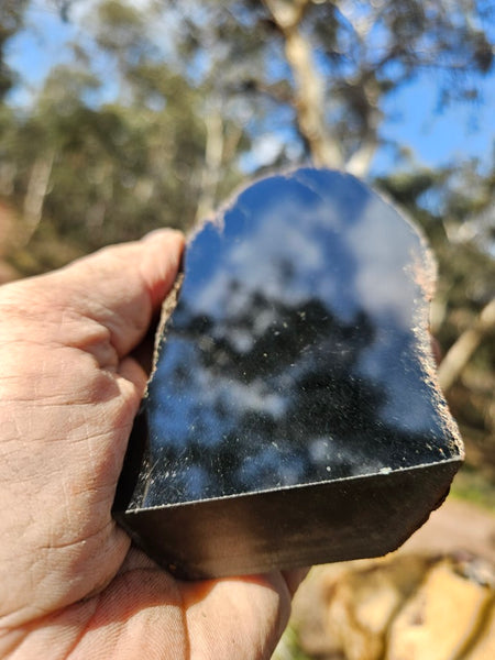 BJ141 Polished "Black Jade".