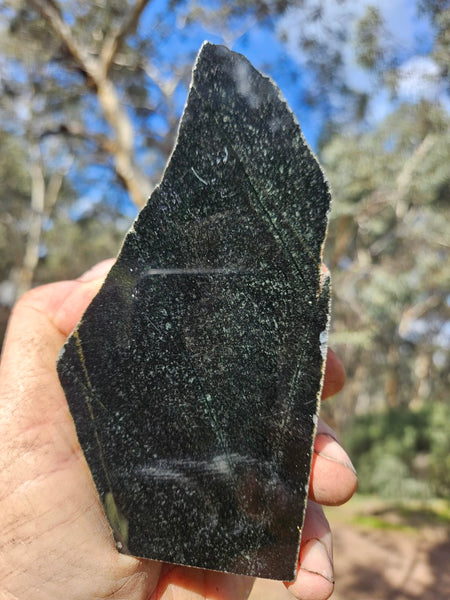 BJ140 Polished "Black Jade"  .