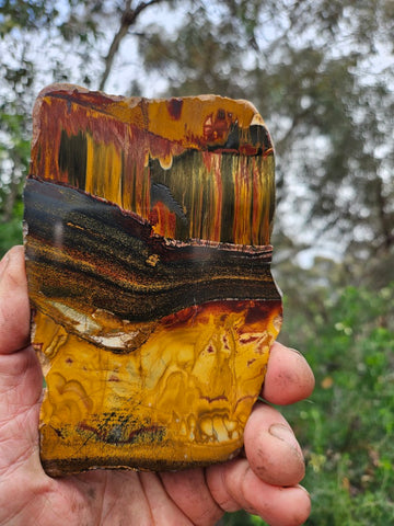 Polished Tiger Eye slab TE478