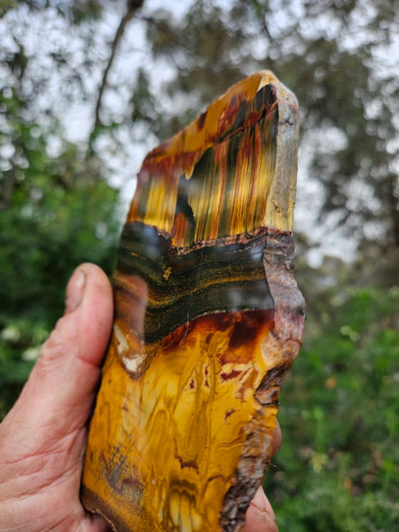 Polished Tiger Eye slab TE478