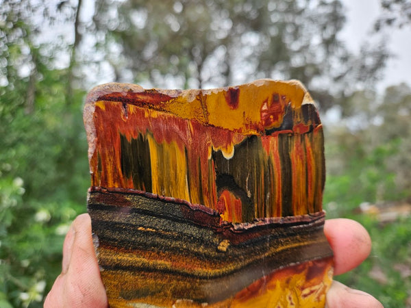 Polished Tiger Eye slab TE478