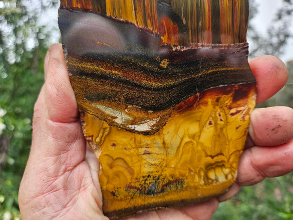 Polished Tiger Eye slab TE478