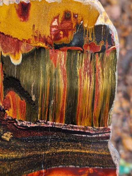 Polished Tiger Eye slab TE478