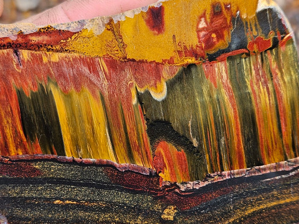Polished Tiger Eye slab TE478